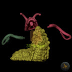 Slitherman Monster - Dungeons and Dragons (D&D), DragonLance, Frostgrave, Fantasy 3D Printed Resin Miniatures