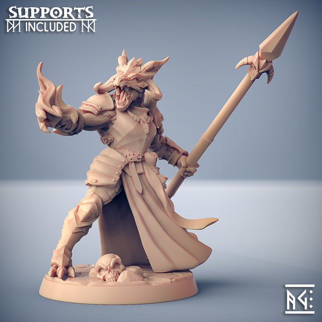 The Dragonguard Miniatures | Fantasy D&D Miniature | Artisan Guild