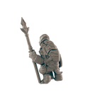 Turtlefolk Guardsman