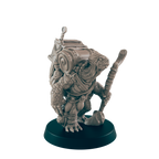 Turtlefolk Old Wanderer