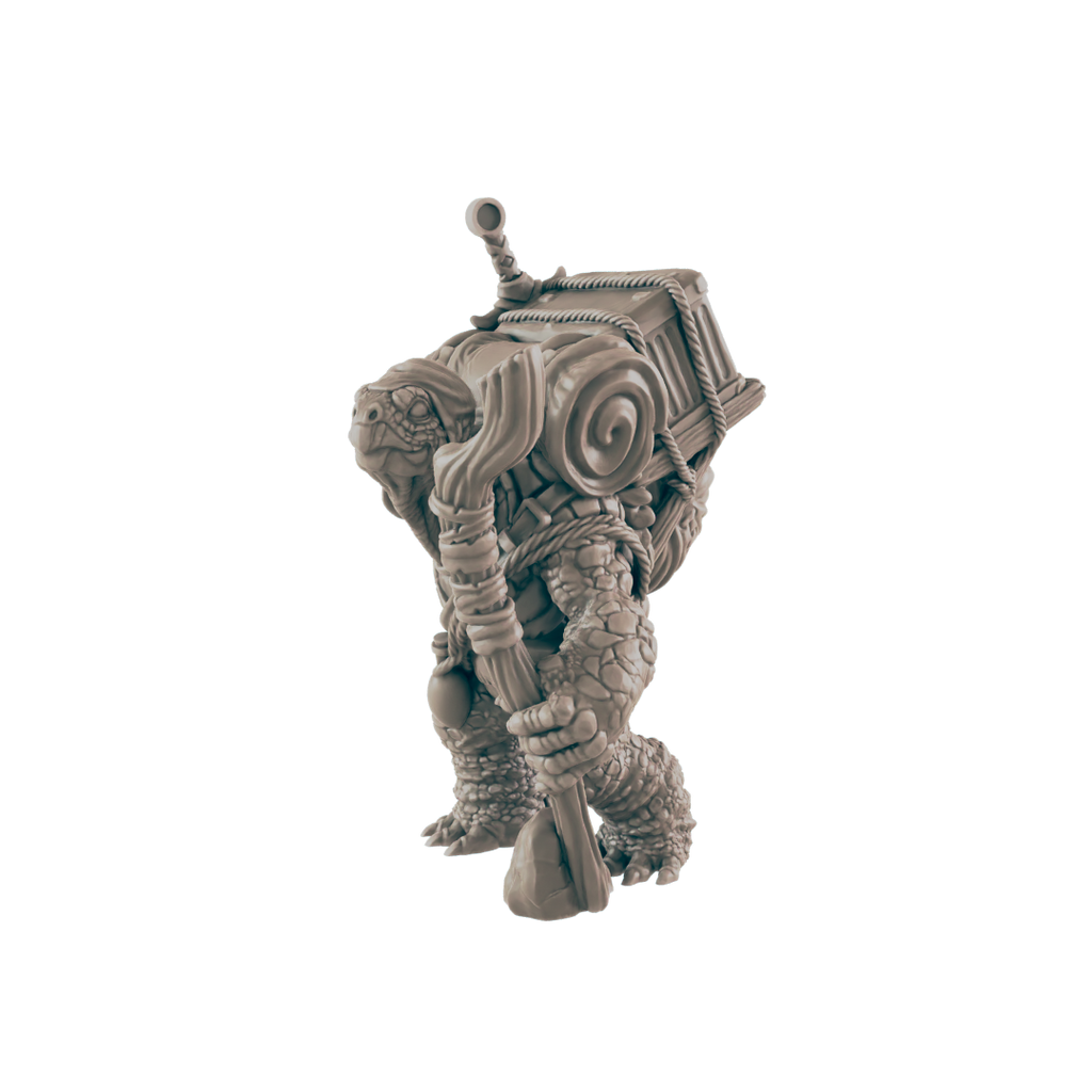 Turtlefolk Old Wanderer