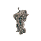 Turtlefolk Old Wanderer