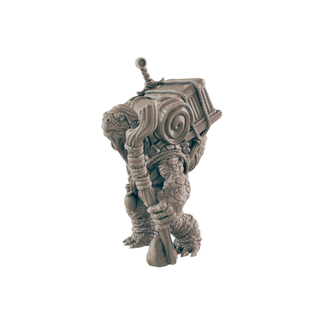 Turtlefolk Old Wanderer