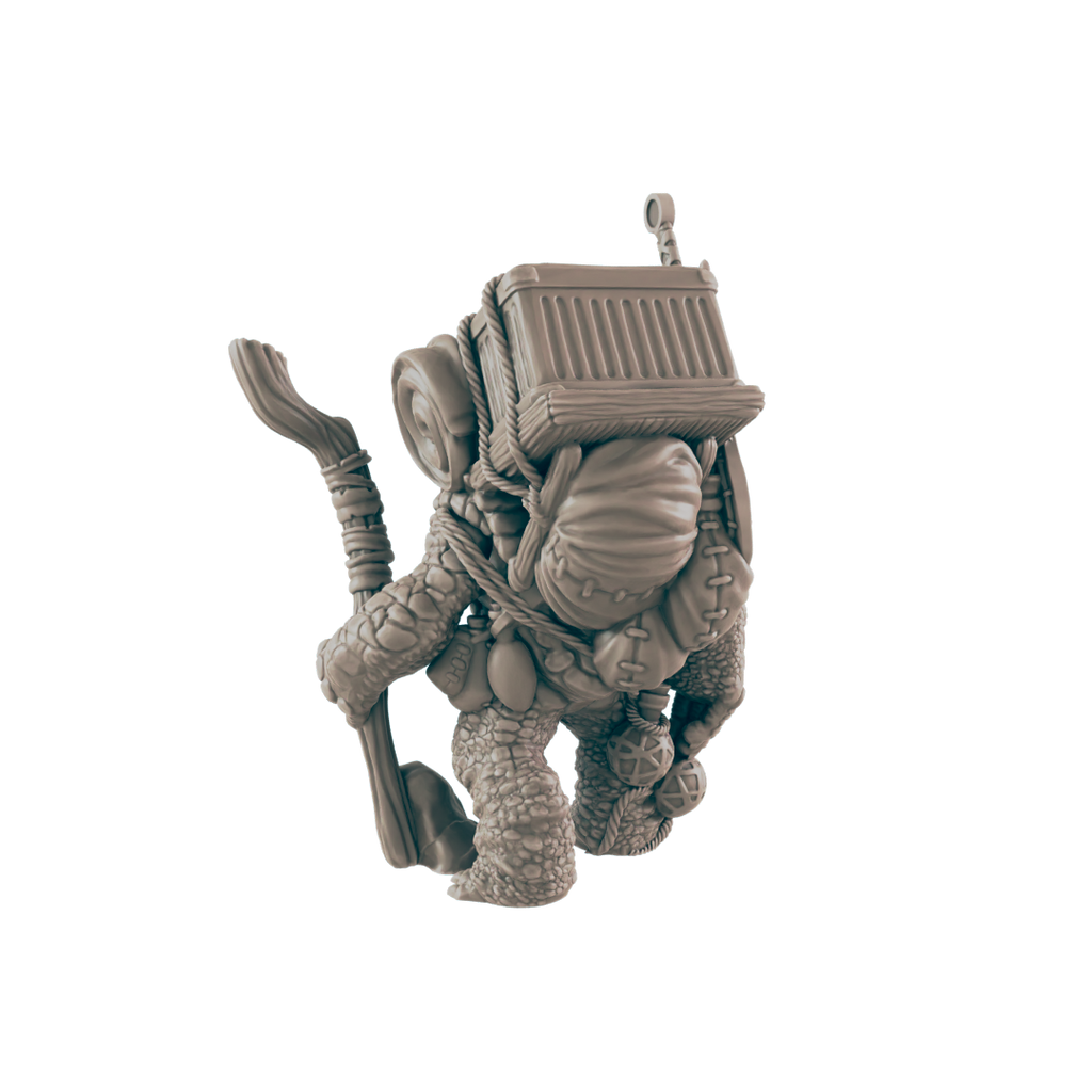 Turtlefolk Old Wanderer