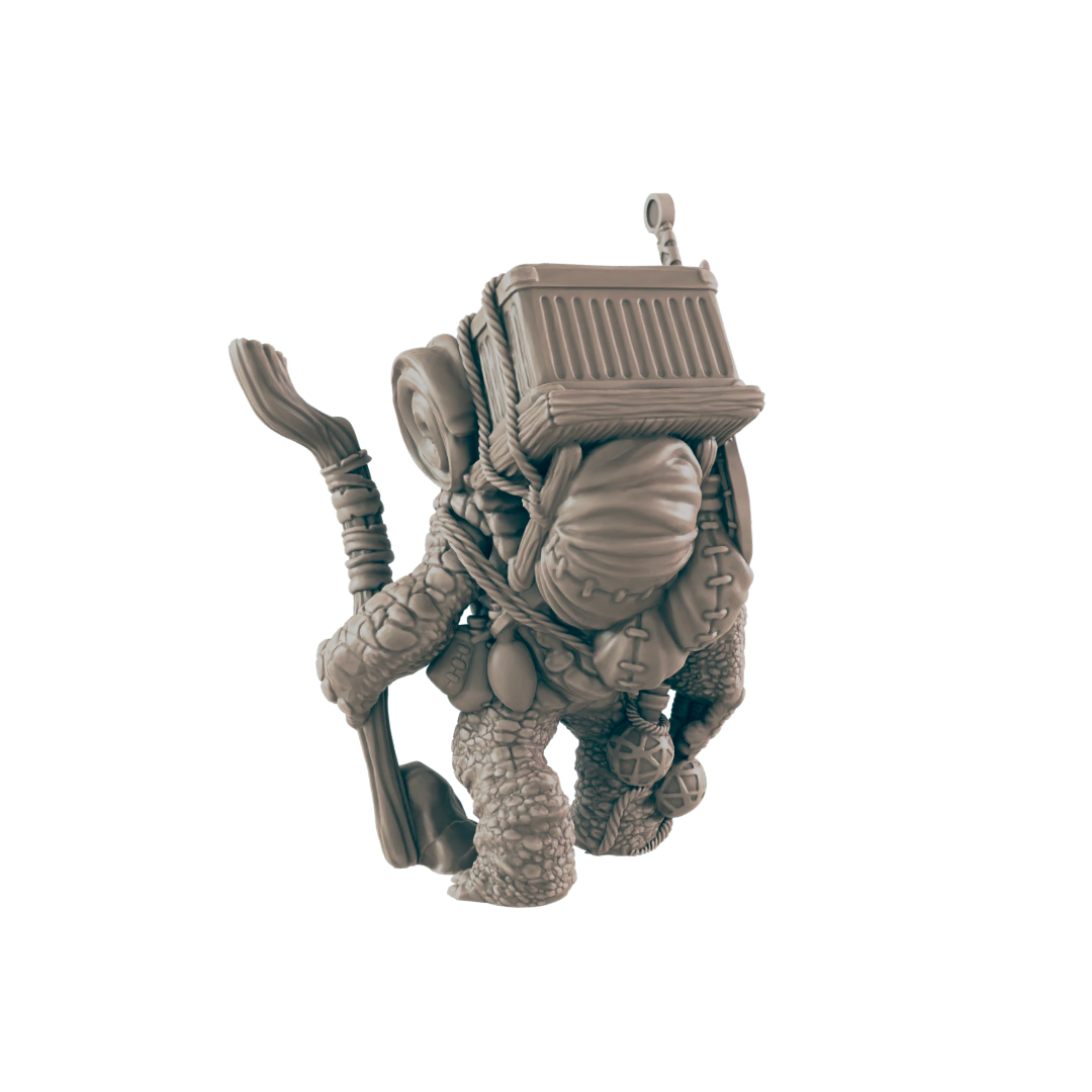 Turtlefolk Old Wanderer