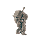 Turtlefolk Old Wanderer