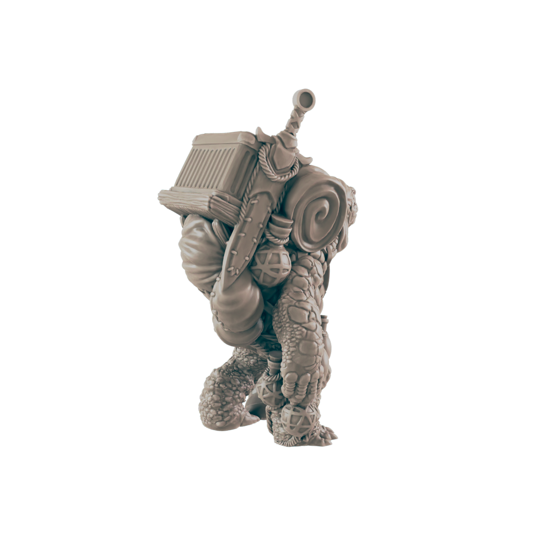 Turtlefolk Old Wanderer