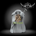 Vodo Siosk Baas- Star Wars Legion compatible 3D Printed Resin Miniatures